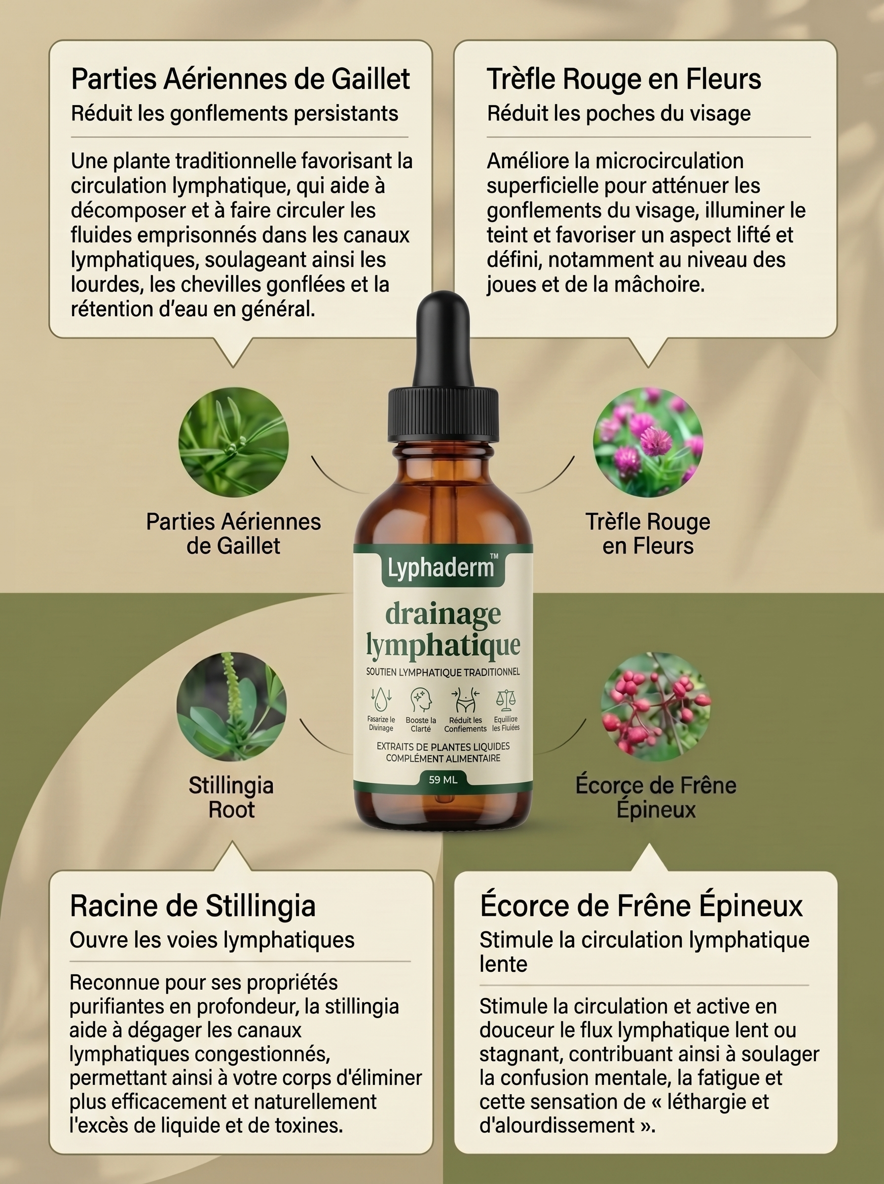 Gouttes Lyphaderm drainage lymphatique